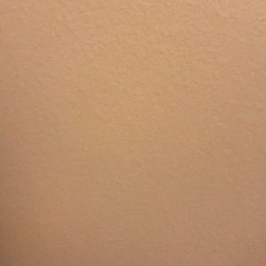 Meet your Posher, Carmen